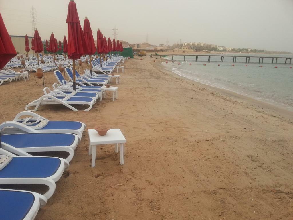 Special Chalets In Porto South Beach Families ไอน์ ซกนา ภายนอก รูปภาพ