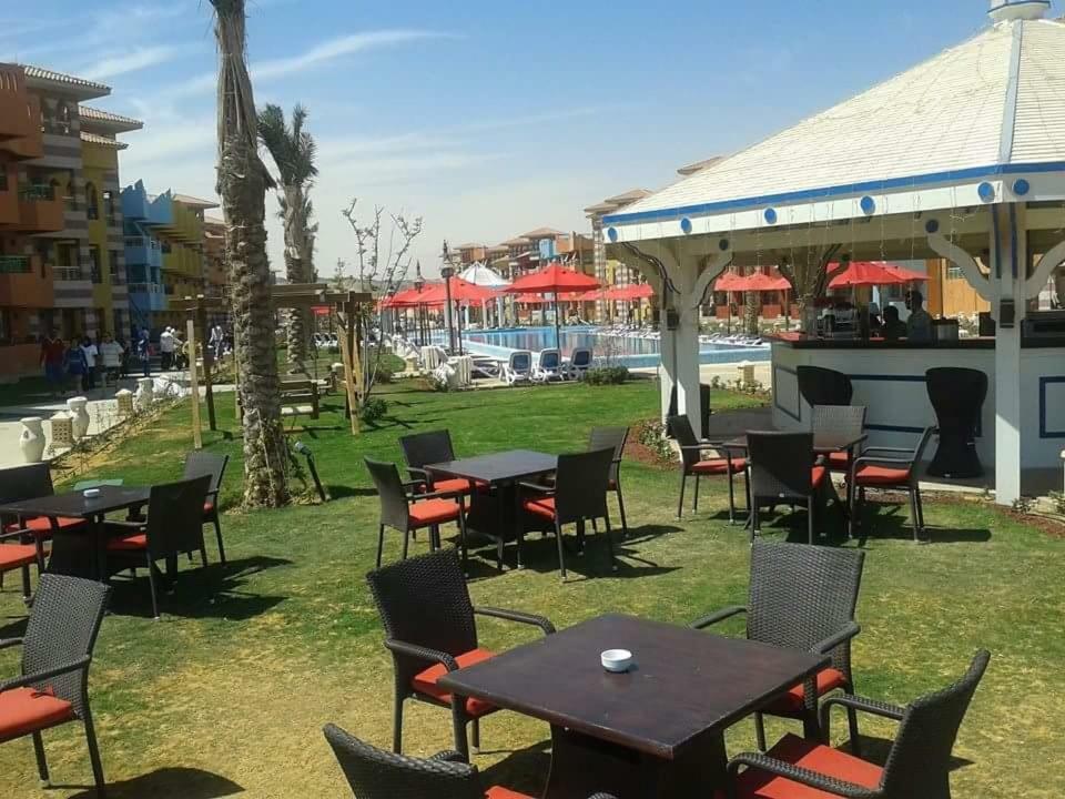 Special Chalets In Porto South Beach Families ไอน์ ซกนา ภายนอก รูปภาพ